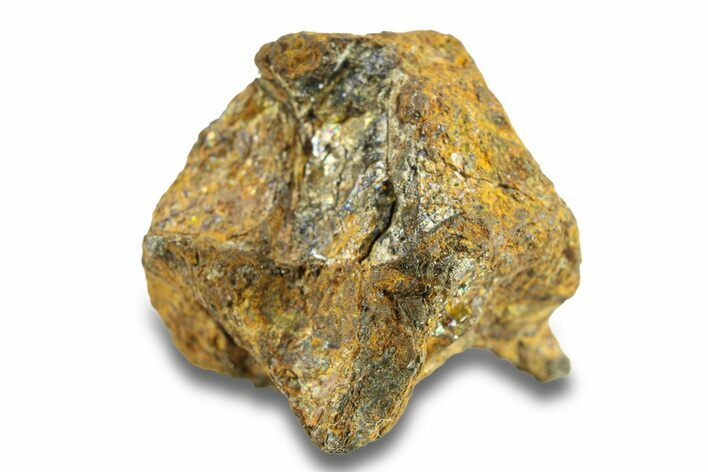 Pallasite Meteorite ( g) - NWA #281444